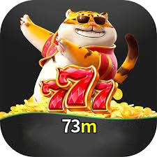 Logo 73m
